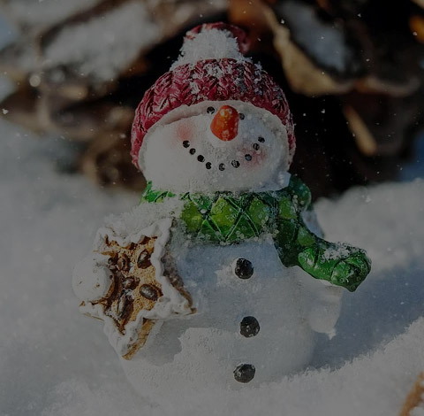 熱水袋，PVC熱水袋，暖手熱水袋，插手熱水袋，頸椎熱水袋，常州月豐塑料制品有限公司，月豐塑料